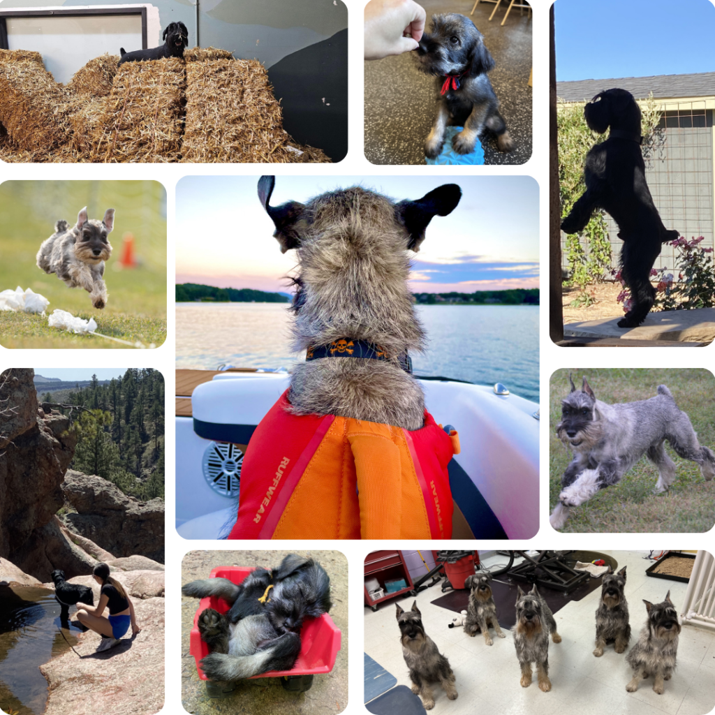 modern photo collage new year instagram post