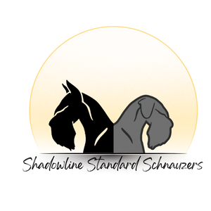 shadowline 300 px